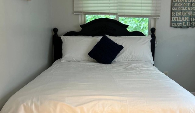 Office Private Oasis