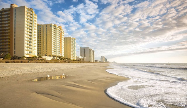 OFFICIAL LISTING | Wyndham - Ocean Boulevard 1BR Condo w/WiFi, Pools & Hot Tubs