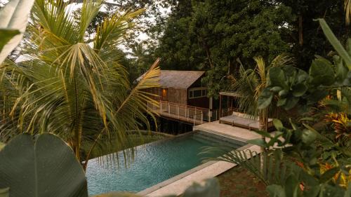 OFFTRACK - Boutique Wellness Retreat in the Jungle