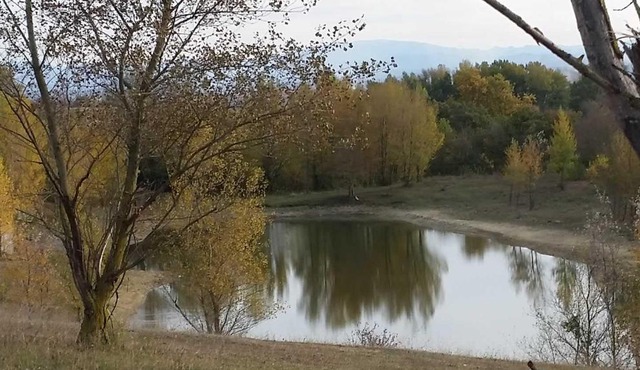 Oh! Campings - Aux 4 vues