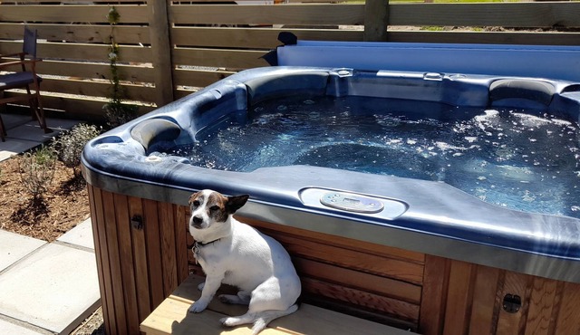 Oh so peaceful! Stunning rural view, hot spa pool,small dogs welcome.