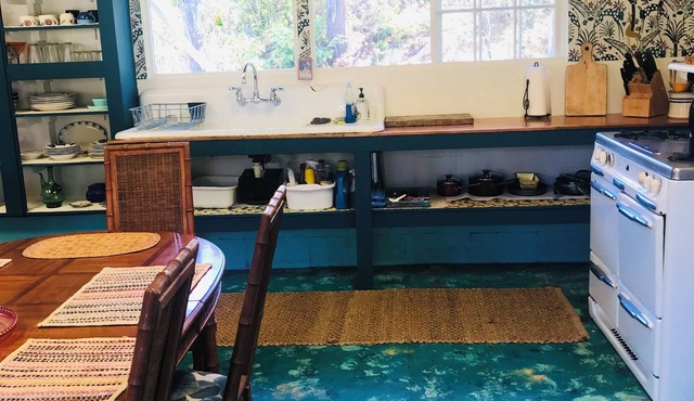 Ohana house Nature Retreat that is family and pet friendly.