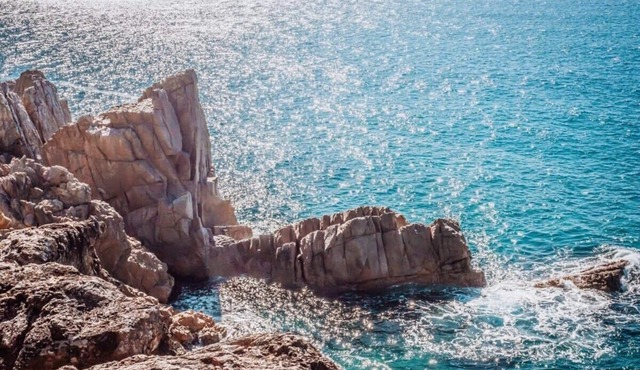 Ohana Hut by Tiny Away