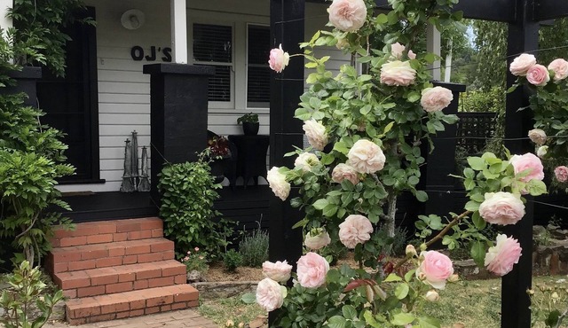 OJ's - luxury retreat minutes from shopping and restaurants