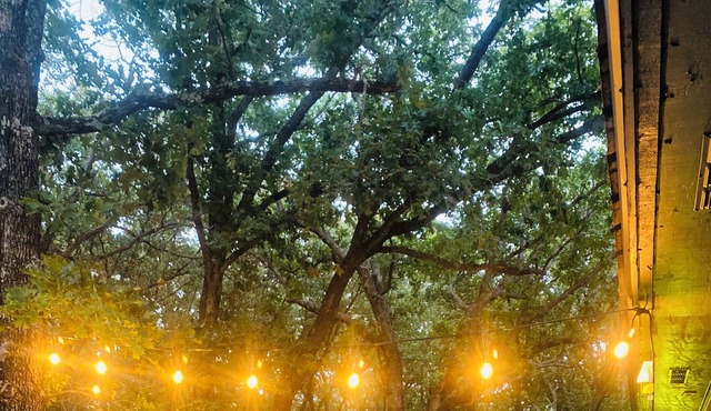 Okmulgee Lake house! Oasis in the Oaks, relax by the tranquil waters!