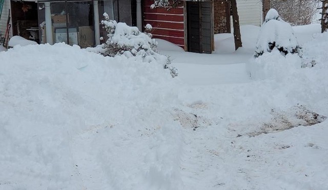 Old Buffalo rd Cabin