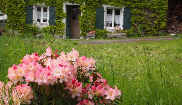 OLD FARM IN BIG PEACE