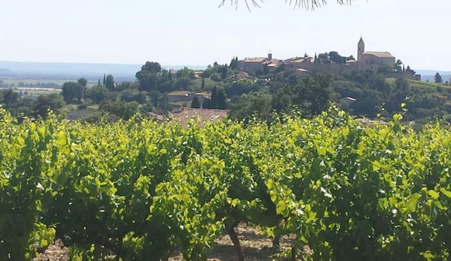 Old farm in the middle of the vineyards