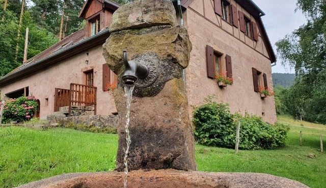 Old freestone farm built in 1880 in the middle of Alsace and nature