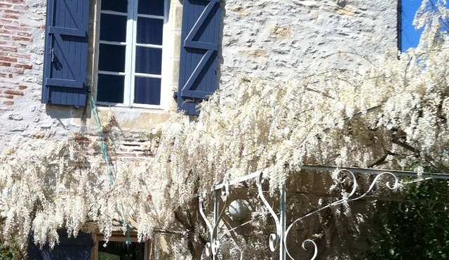 Old house in lush greenery on the road to St Cirq Lapopie