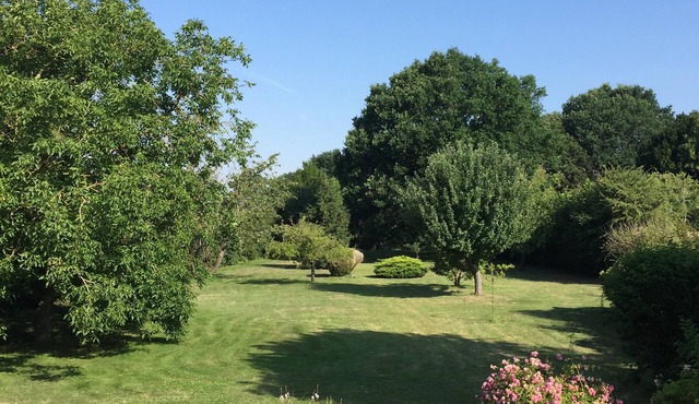 Old house with all modern comforts, forest of Fontainebleau