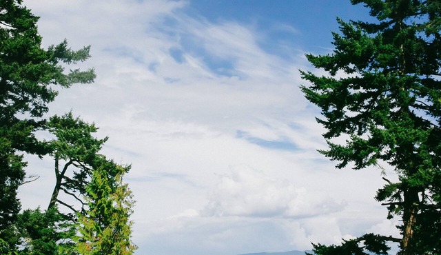 Old Island Charm with Stunning Mountain Views, Perched above Our Private Beach