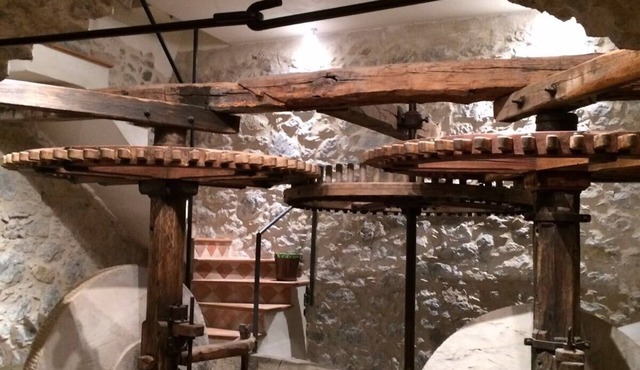 Old oil mill 25 km from Nice and 25 from the Mercantour park