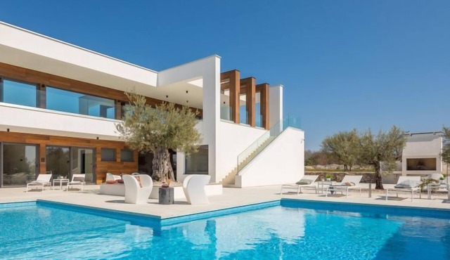 Old Olive VIII by Interhome
