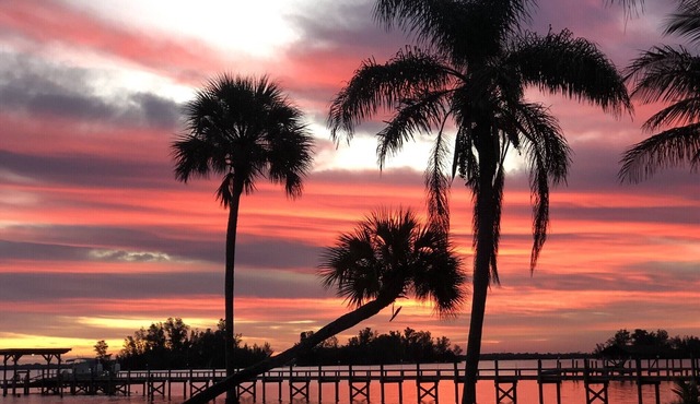 Old Palm Waterfront Private and Secluded Tropical Paradise