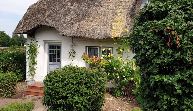 Old post station from 1857. Romantic thatched cottage, half of the house. Dog friendly! in Högsdorf