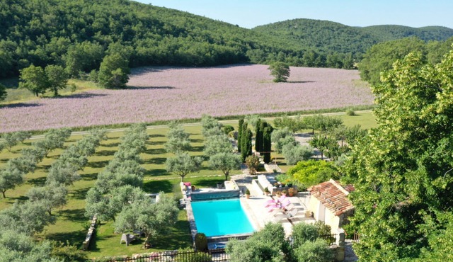 Old sheepfold of the 18th restored with great taste in the middle of lavender
