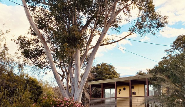 Old Skool Family Holiday House - walk to beach!