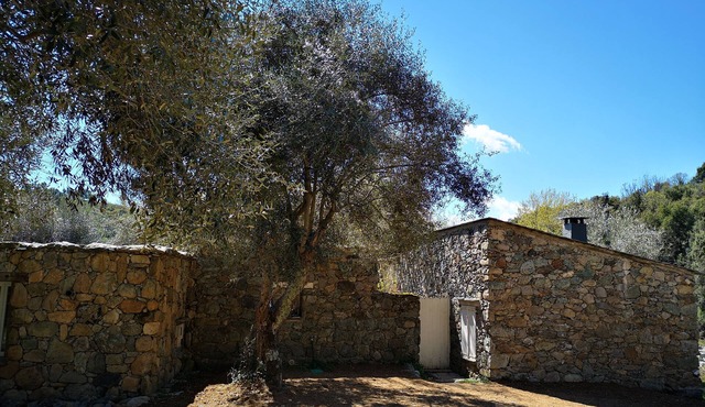 Old stone sheepfold completely renovated 2 steps from Corte