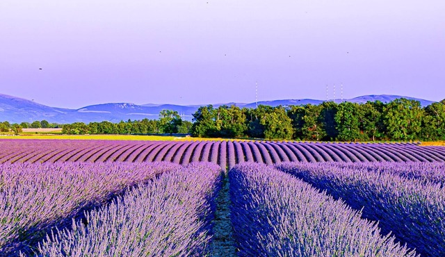Old stones near the Verdon