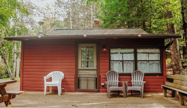 Old Stoney's Musky - PET FRIENDLY