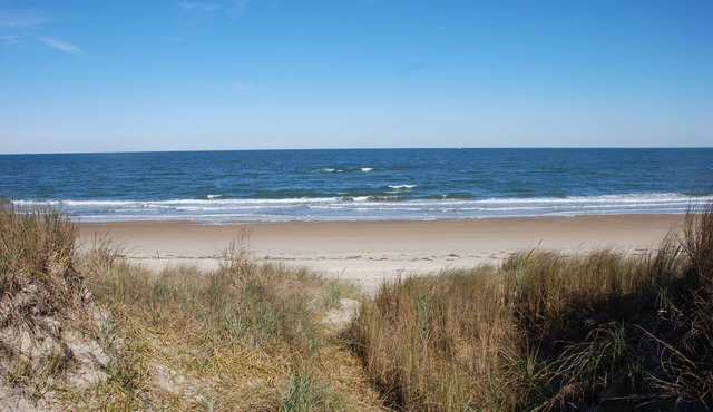 Old Time Beach Front Cottage - The Beach is your Backyard! (Pet Friendly) by RedAwning