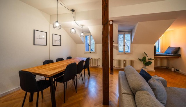 Old town apt in the heart of Thun with garden