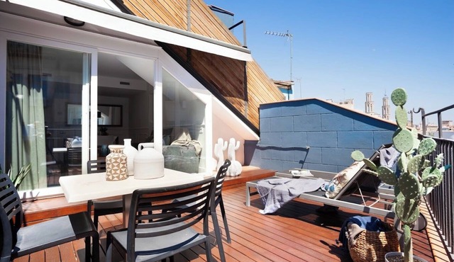 Old Town building! Roof Terrace with views!