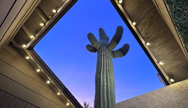 Old Town, Sun Devils, Tempe, Papago, Zoo, Cubs, Giants, WM Open, and more!