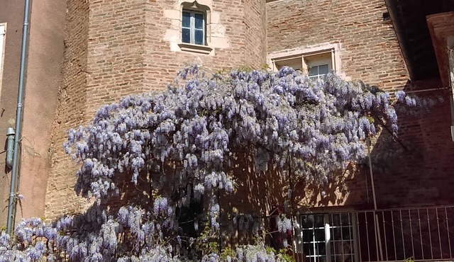 Old townhouse for 2-3 people