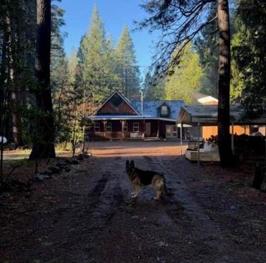 Old West Cabin at Lassen Volcanic National Park