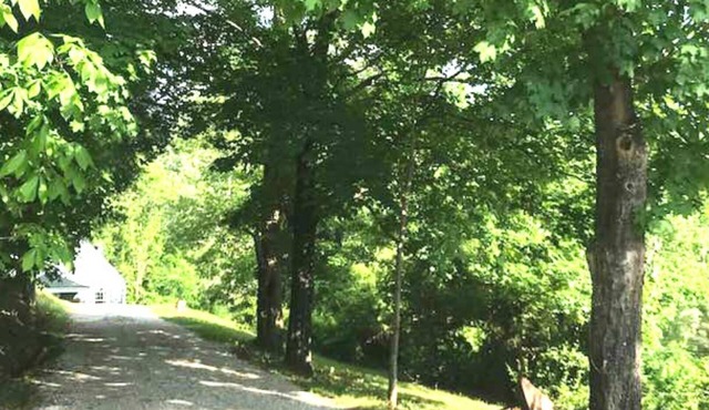 Old Woodland Acres "Industrial-Rustic" Cottage