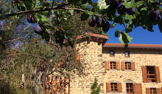 Old-world charm with modern comforts in the midst of nature
