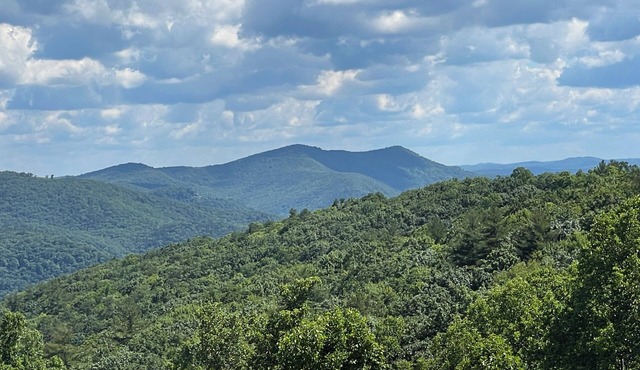 Olde Beau Golf/Blue Ridge Mountains Golf/Resort 1BR 1BA Condo PET FRIENDLY!