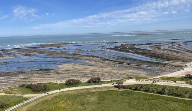 Oléron, house on the luminous island
