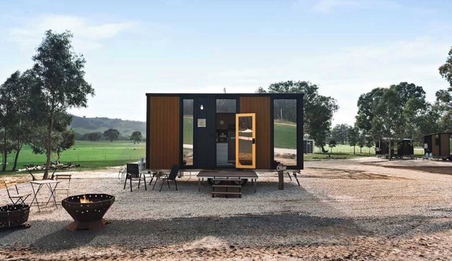 Olive at Sheltered Paddock by Tiny Away