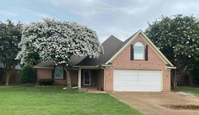 Olive Branch Mi Casa Es Su Casa