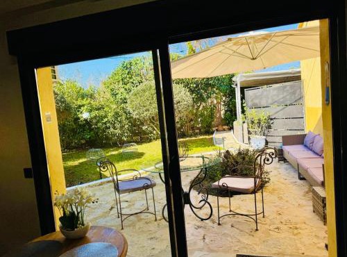 Olive Grove in Provence