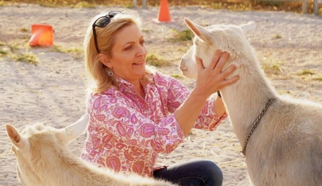 Olive Grove Retreat 1 by Tiny Away