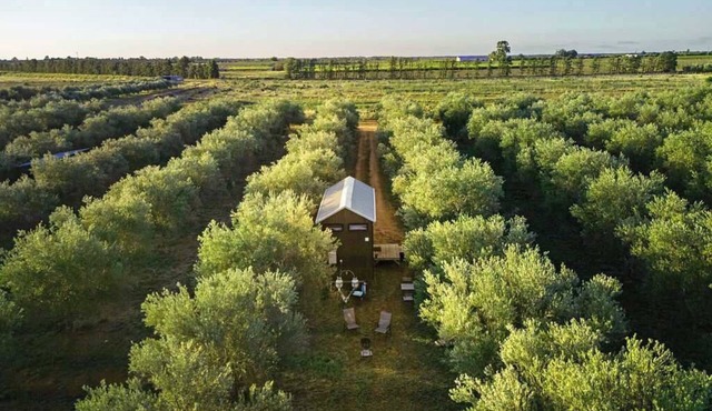 Olive Grove Retreat 2 by Tiny Away