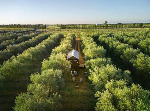 Olive Grove Retreat 2 by Tiny Away