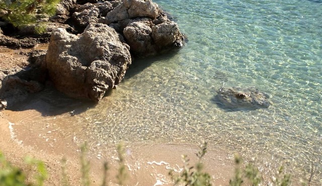 Olive-sunset Haven in Zuljana