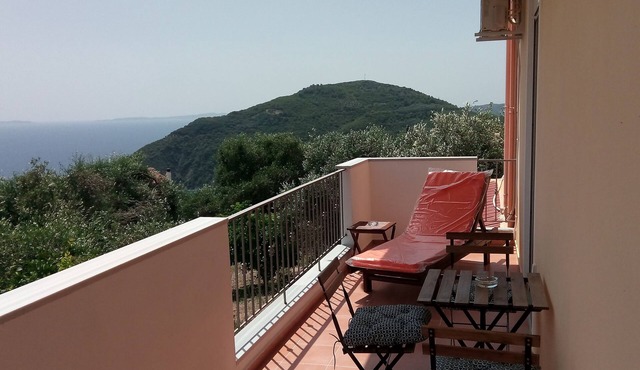 Olive Tree Apartment