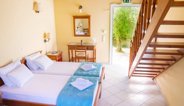 Olive Trees Garden Lixouri