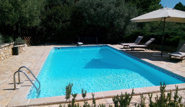 OLIVE TREES IN COTIGNAC (VAR)