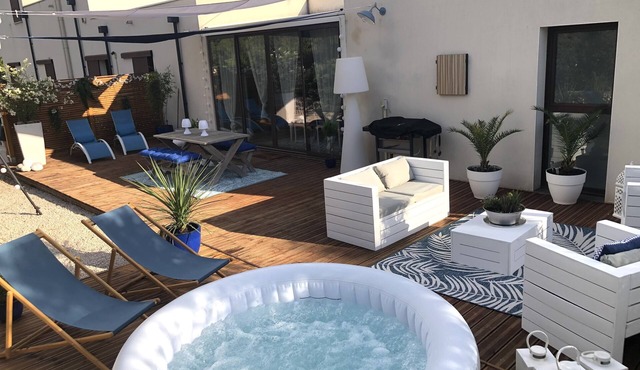 OLIVE TREES OF MAS BLUE BETWEEN NIMES AND MONTPELLIER