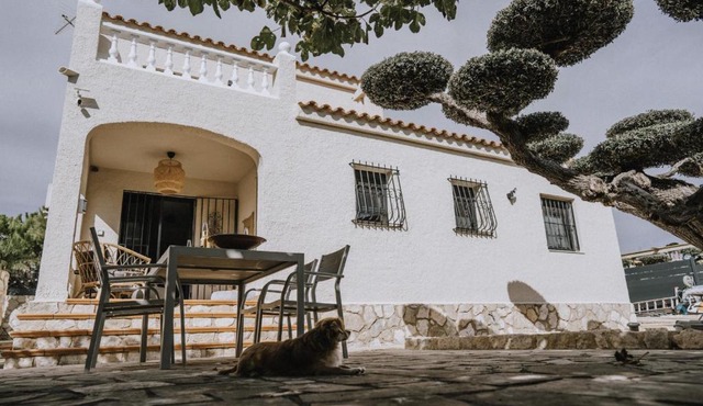 Oliveres3