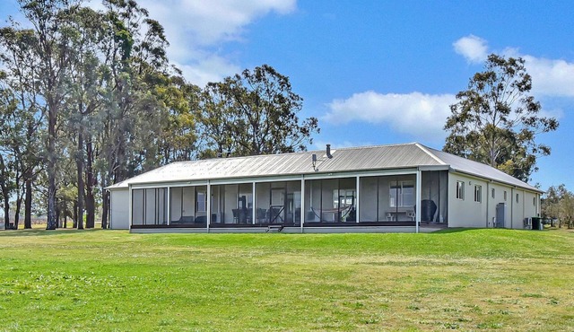 Olives and Vines at Majors Lane