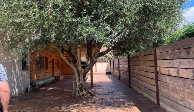 Oliviers, Soleil et BBQ : un Havre de Détente Paisible Vous Attend !