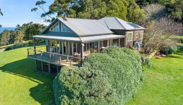 Ollie's View - Views to the ocean